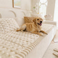 Cozy Pet Sofa Protector